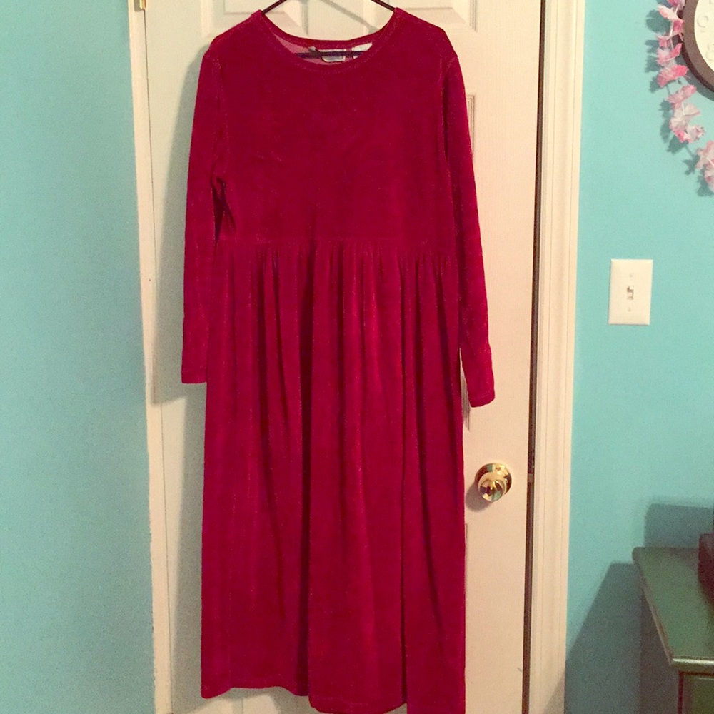 Vintage Velvet Dress